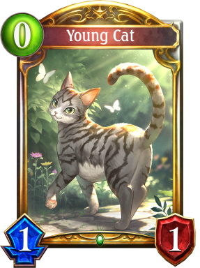 Young Cat
